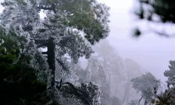 【新春走基层】组图丨民勤县农资储备充足 春耕生产有保障